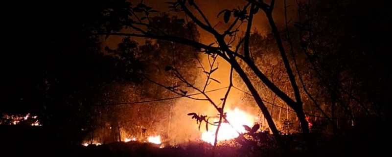 Similipal fire serves as lesson on human activity within protected areas,  say experts